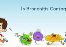 Is Bronchitis Contagious ? After Taking antibiotics, will it stop transmitting ?