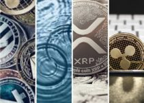 Ripple Blockchain : All you want to know about XRP Cryptocurrency