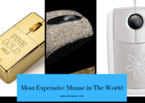 Top 10 Most Expensive Mouse in The World
