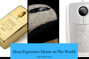 Top 10 Most Expensive Mouse in The World