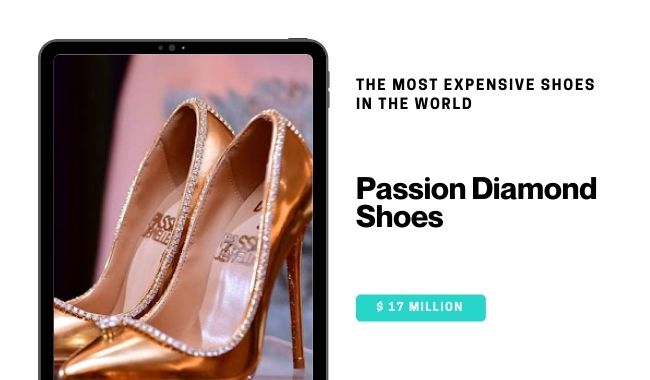 The Most Expensive Shoe in the World Passion Diamond Shoes