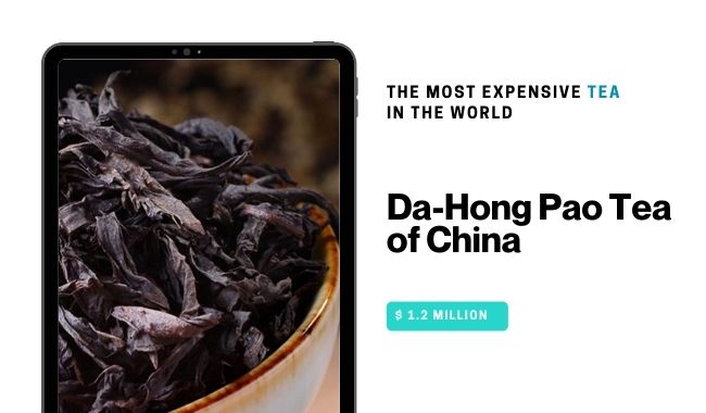 The Most Expensive Tea in the World Da-Hong Pao Tea of China